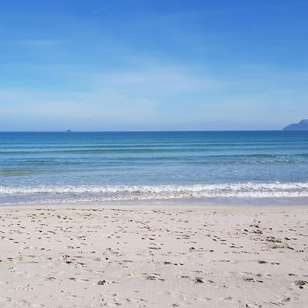 Ideal Property Mallorca - Avinguda Dels Pins 441 Playa de Muro  Exteriör bild